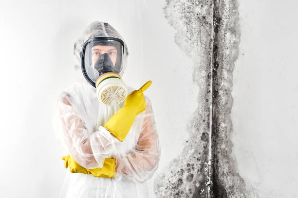 Professional Mold Inspection in Elm Creek, TX